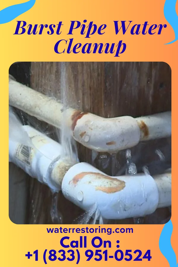 Burst Pipe Water Cleanup in La Tour, MO