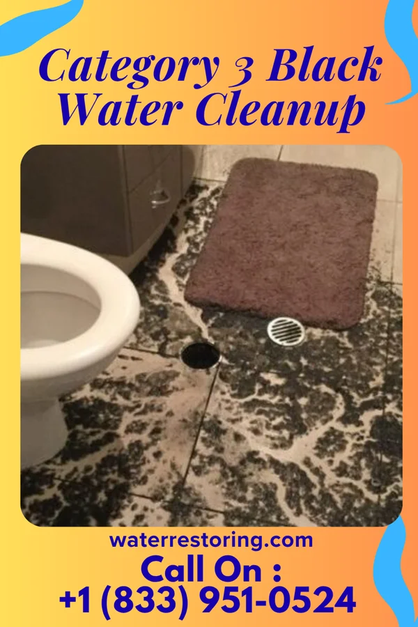 Category 3 Black Water Cleanup in La Tour, MO