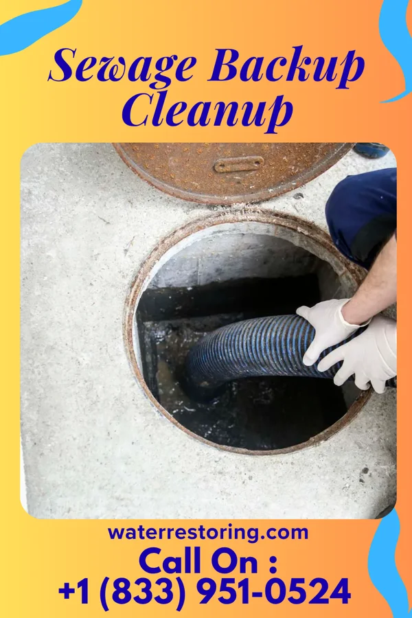 Sewage Backup Cleanup in La Tour, MO