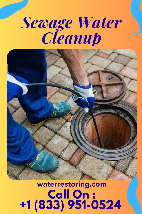Sewage Water Cleanup in La Tour, MO