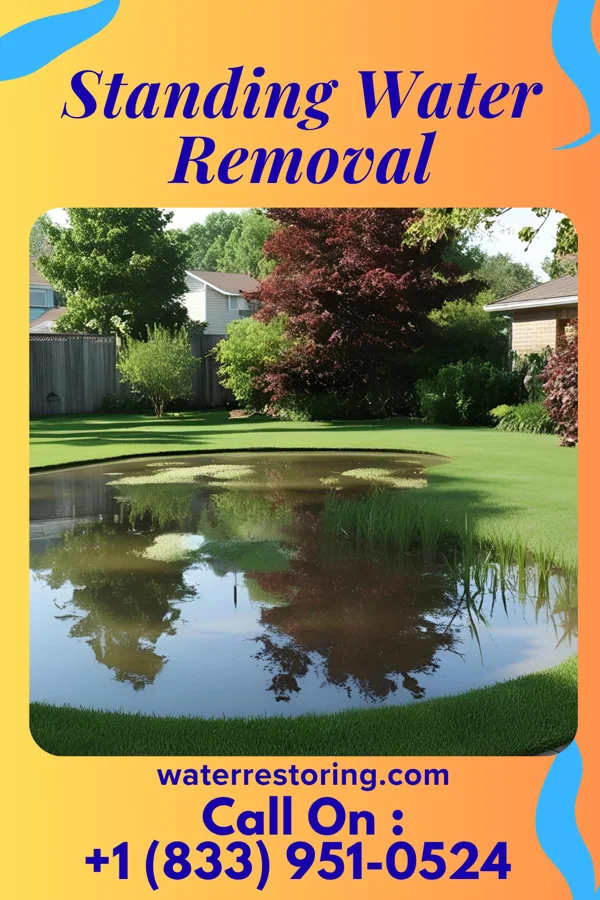 Standing Water Removal in La Tour, MO